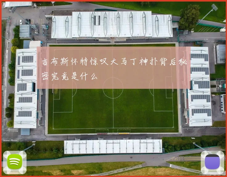 吉布斯怀特惊叹大马丁神扑背后秘密究竟是什么