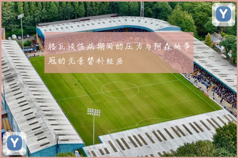 格瓦谈伤病期间的压力与阿森纳争冠的无奈替补经历